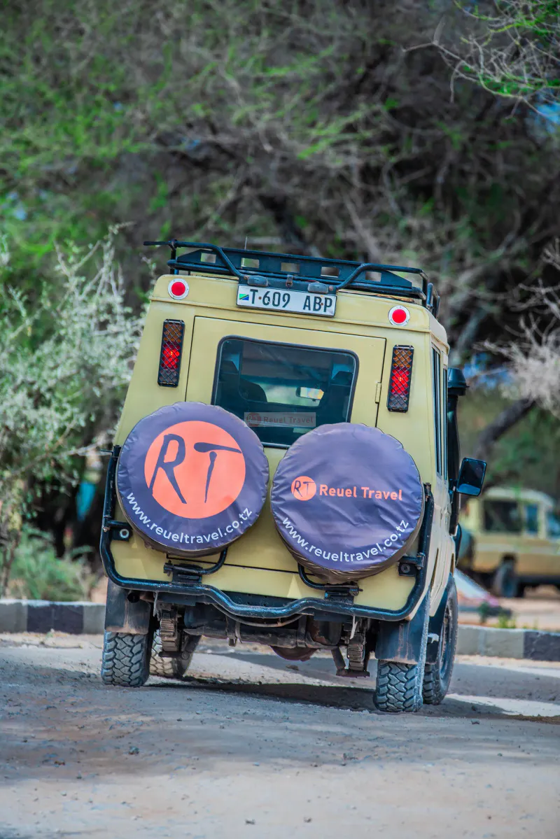 6-Day Best Tanzania Safari Experience & Pink Flamingos