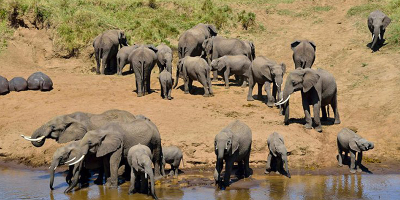 4 days High-end Tanzania Safari - Signature Safari - Safarigo