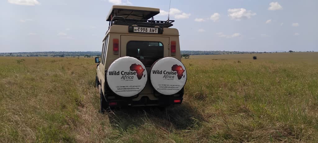 7 Day Fly in Safari & Culture Experience - Midrange