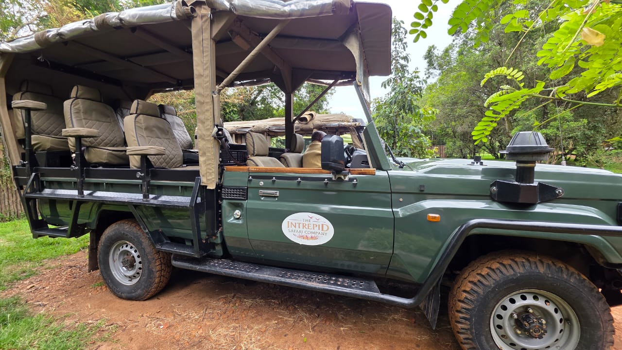 3-Day, 2-Night Fly-In Luxury Masai Mara Safari Experience
