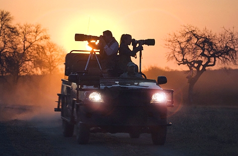 4-Day Night Game Drive Mid Range Sere-Ngorongoro-Manyara
