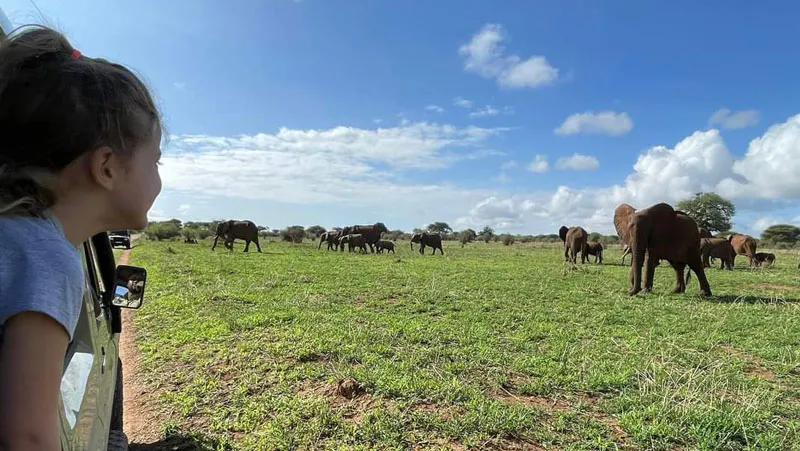 4-Day Touch of Wilderness - Serengeti, Ngorongoro and Manyara or Tarangire