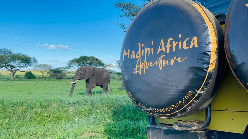 5 Days Tanzania Safari Essence