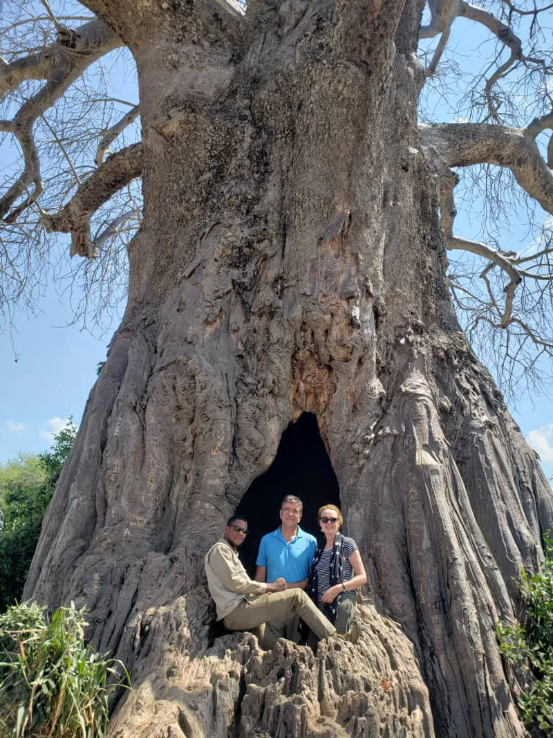 4 Days unforgettable Tanzania Safari