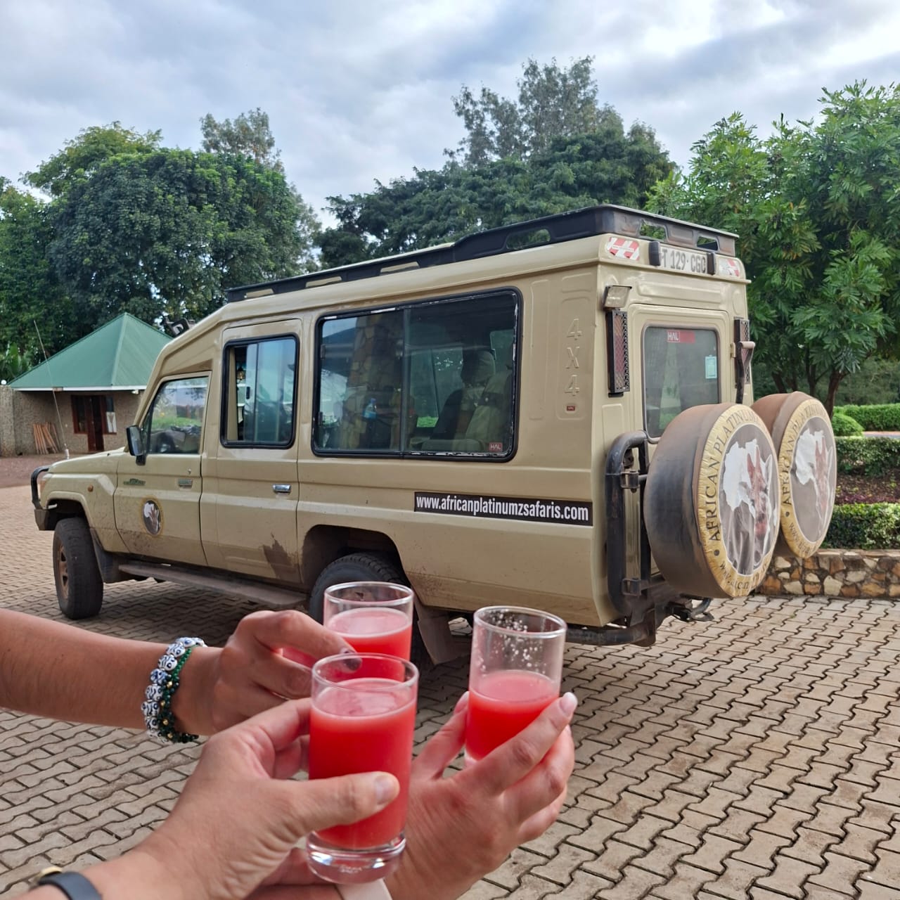 4-Day Tarangire, Ngorongoro, Serengeti & Mto Wa Mbu Tour
