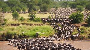 4-Day Sirval Luxury Safari