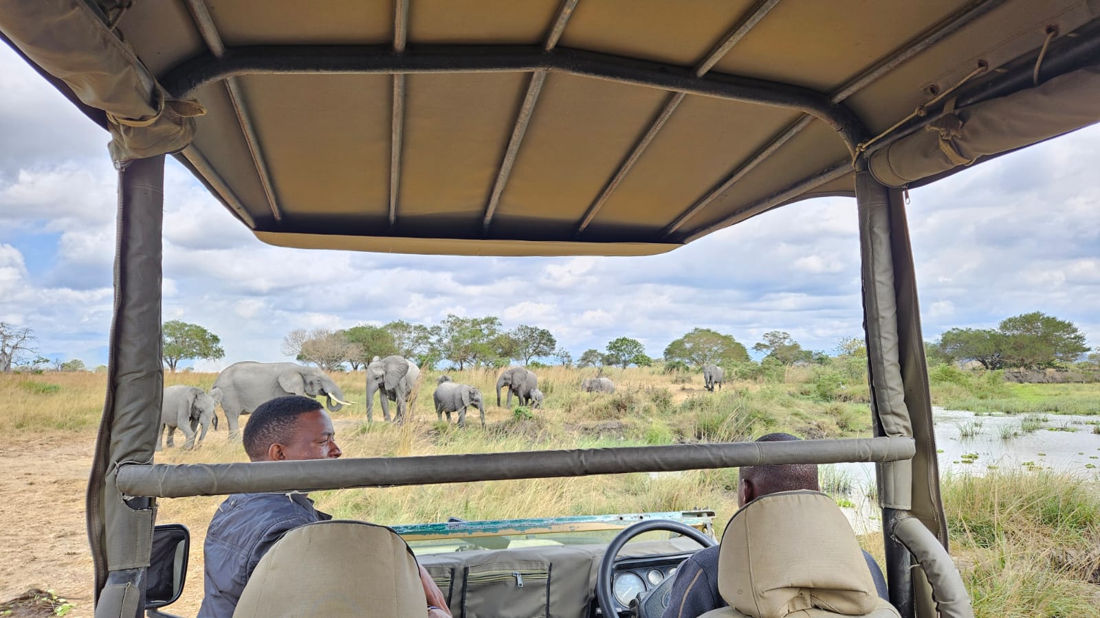 2 day Mikumi wildlife safari by SGR train .