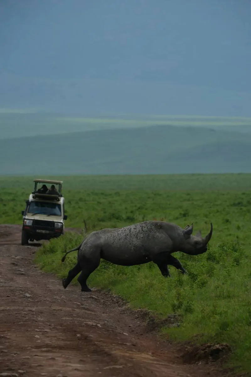 4 Days - Tarangire, Manyara, Ngorongoro & Materuni falls