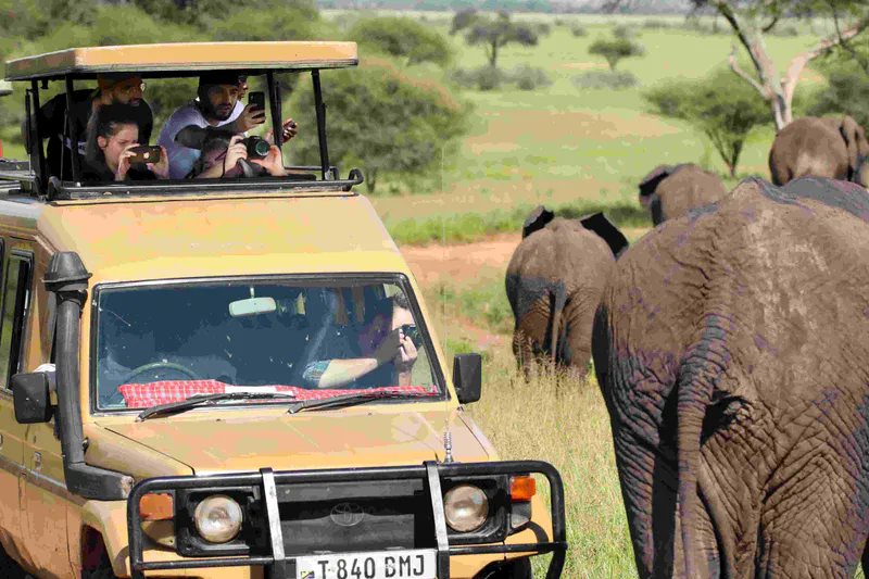 4 : Days Serengeti ( 2 nights ), Ngorongoro and Tarangire