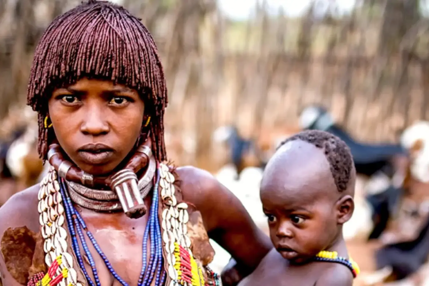 10 Days Omo valley, Danakil Depression and Lalibela Tour