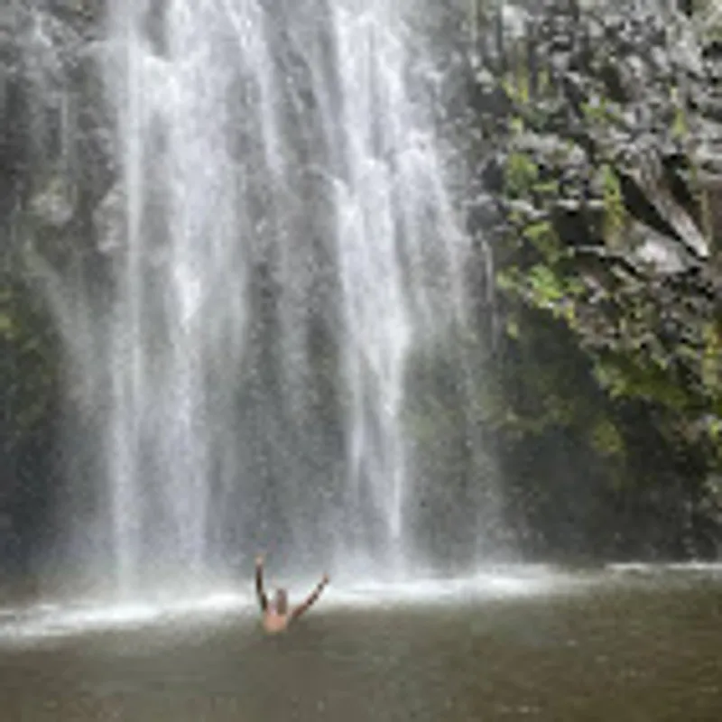 Materuni Waterfalls & Coffee Tour