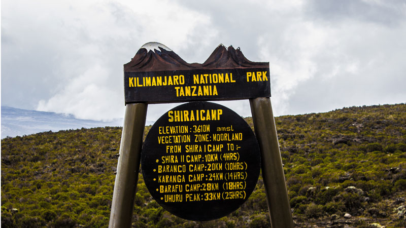Shira 1 Camp