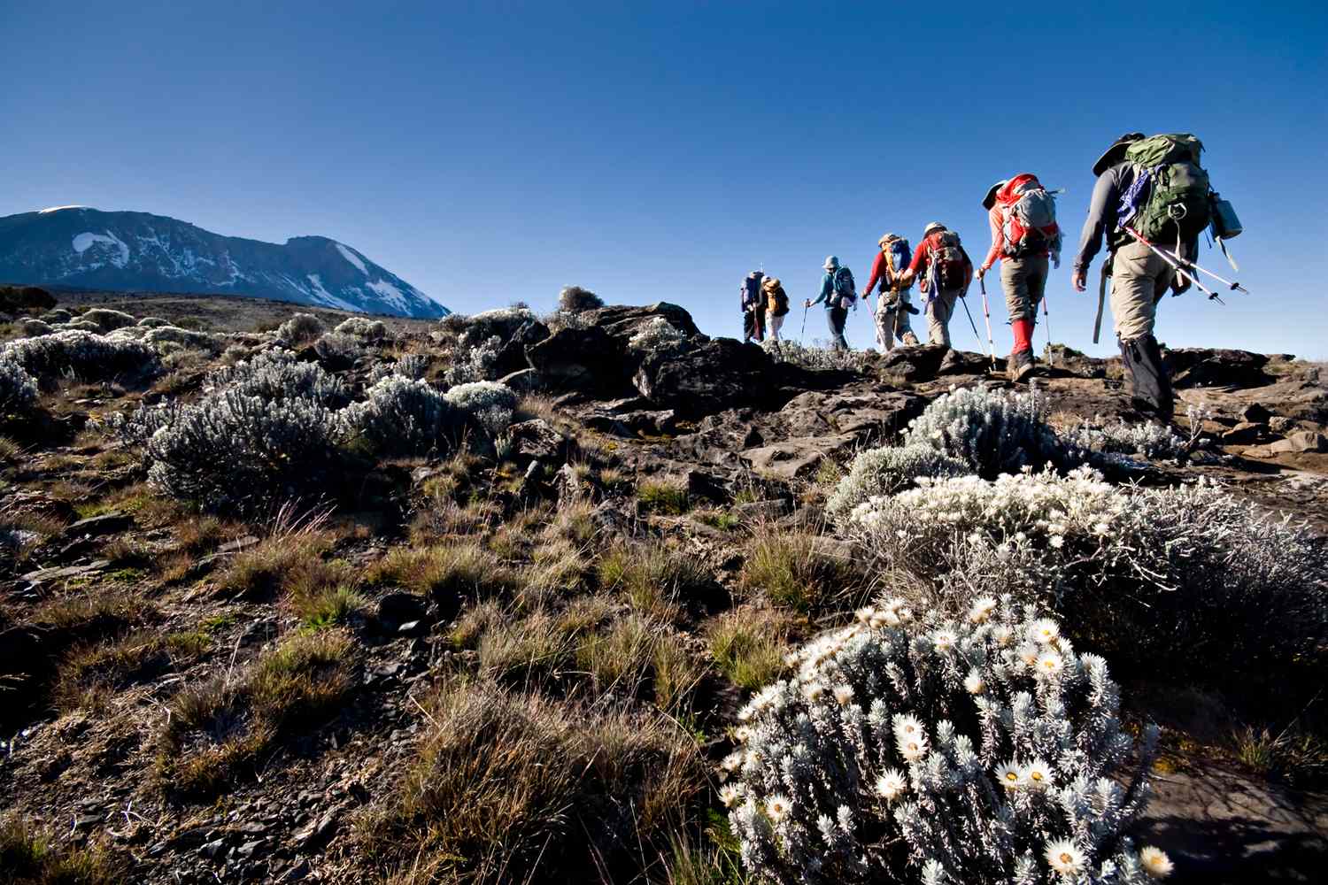 7-tägige Kilimandscharo-Wanderung auf der Machame-Route