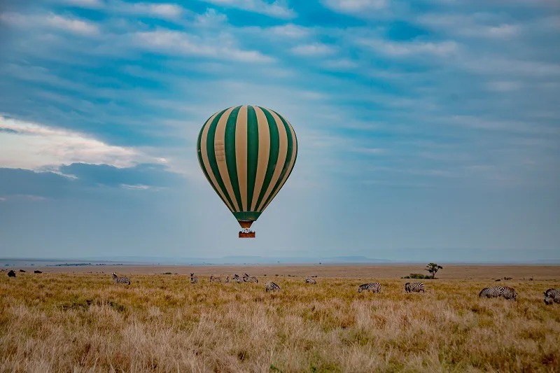 3-Days 2 Nights Masai mara Group shared Land Cruiser Safari