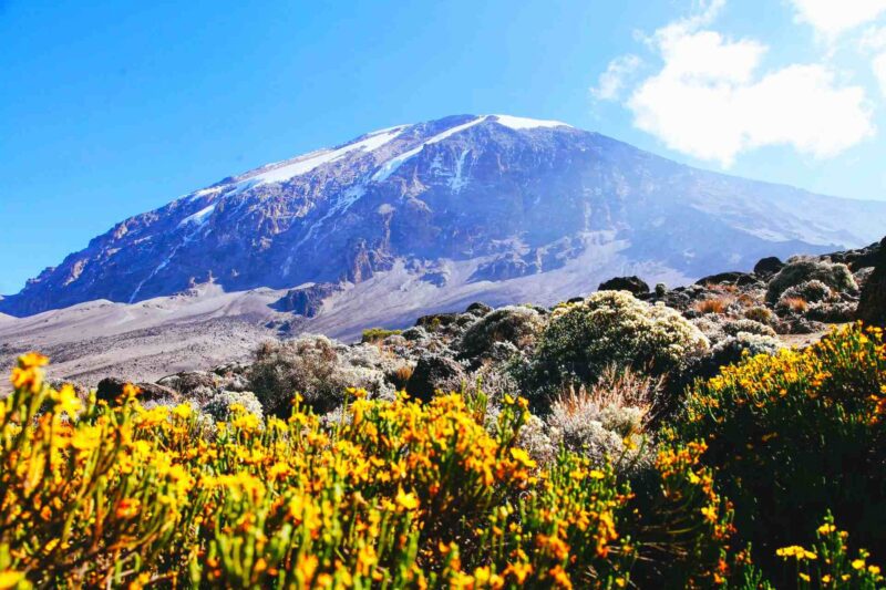 The Ultimate Lemosho Challenge – 7 Days to Uhuru Peak