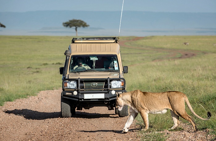Backpacker's Tanzania Escape: A 5-Day Budget Safari Through Tarangire, Serengeti & Ngorongoro
