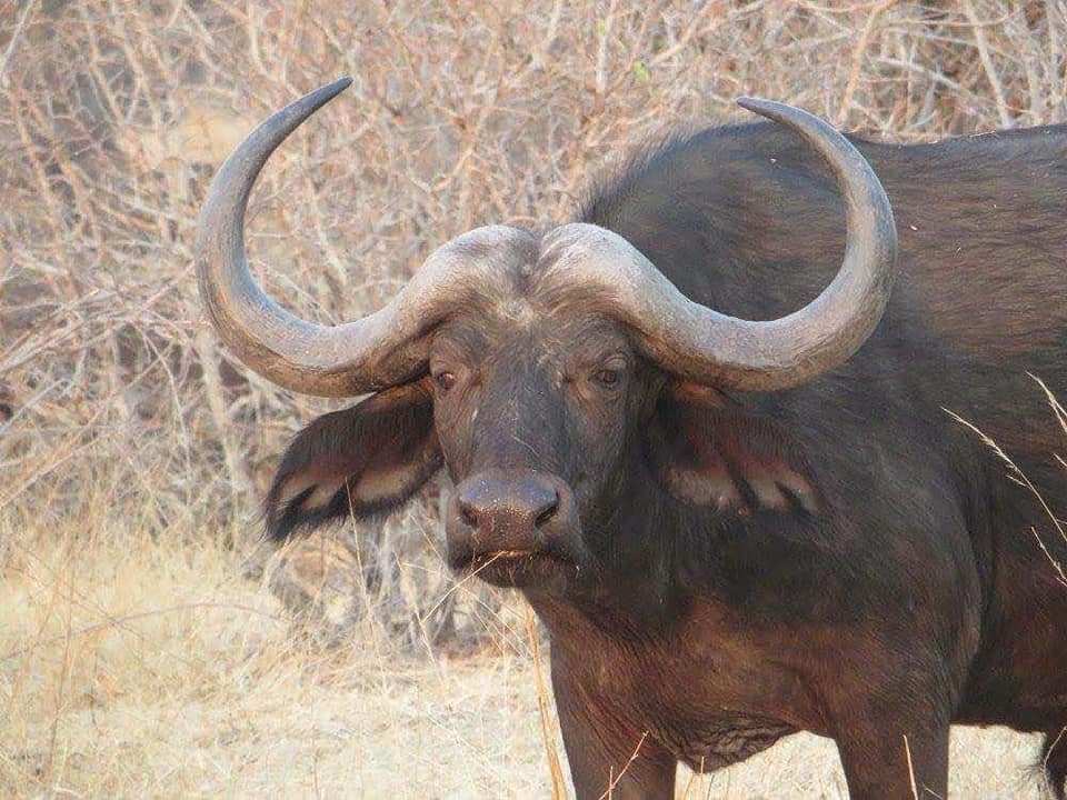 3 Day: Nyerere National Park
