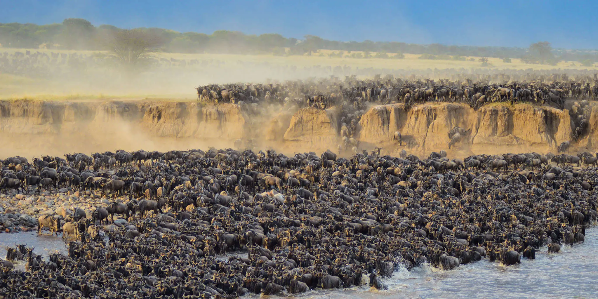 7-Day Signature Luxury Tanzania Safari – Tarangire, Serengeti, Mara River, Ngorongoro & Lake Manyara