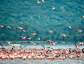 4-DAYS OF A WONDERFUL CAMPING SAFARI IN NGORONGORO AND SERENGETI