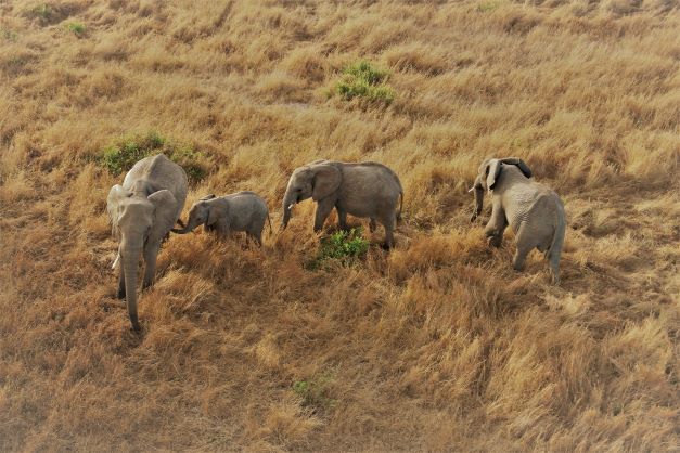 Maasai Mara Hot Air Balloon Ride - Samsons Safaris - Safarigo