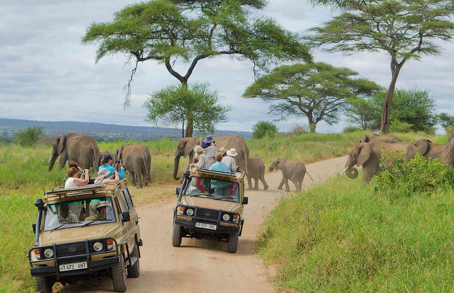 8 Days Mid - RangeLodge Safari - Serengeti Great Migration(July - October) - Exceed Expectations Tours & Safari - Safarigo