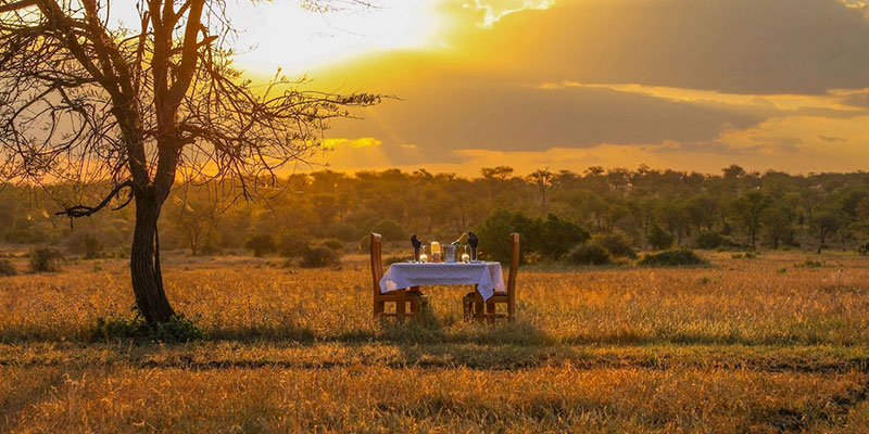 Serengeti Luxury Safari: 3 Days Fly-in, Fly-out from Zanzibar