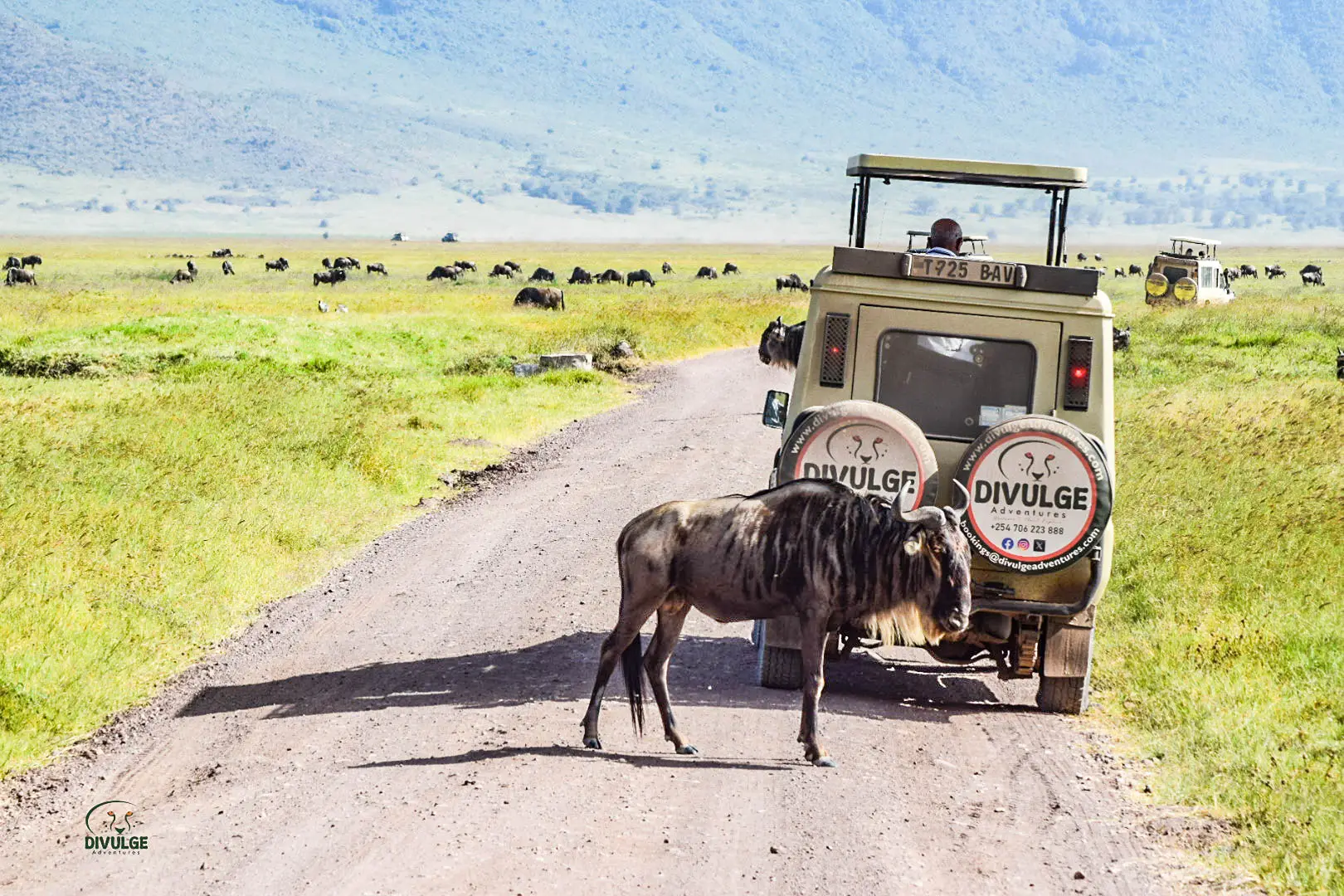 6-Day Tarangire, Serengeti and Ngorongoro Crater Midrange Safari