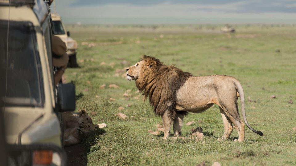 7-Day Group Joining Safari to Masai Mara, Lake Nakuru, Naivasha & Amboseli – Budget Adventure