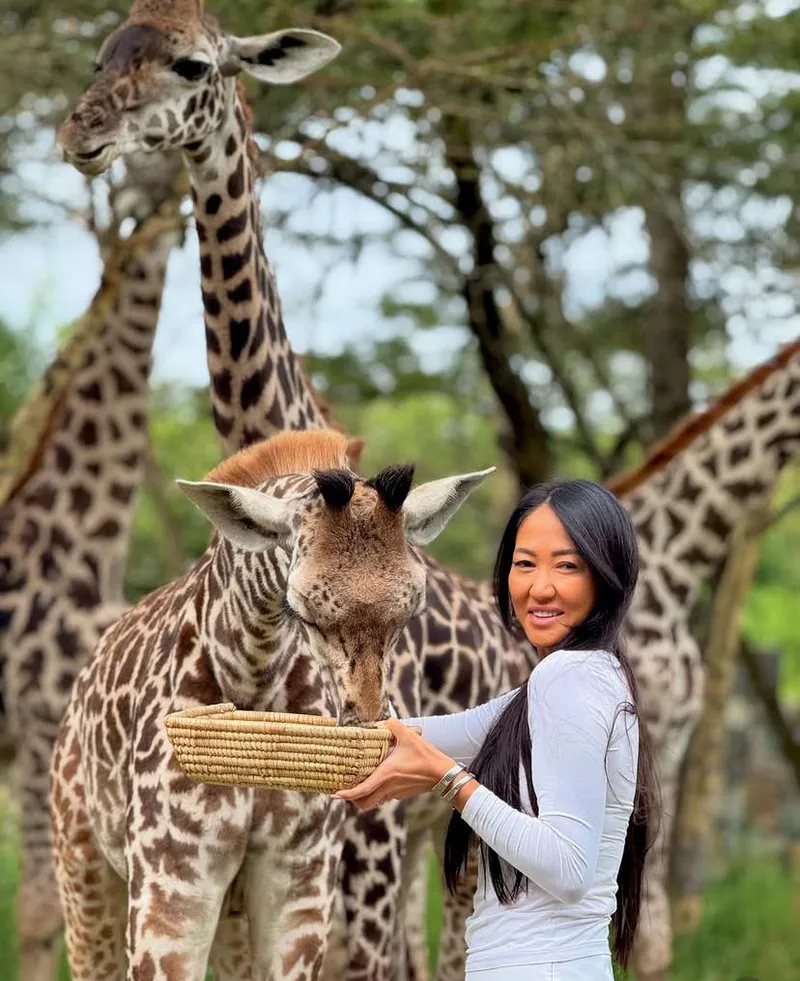 Tagesausflug „Ayasophia Wildlife Experience“ in Arusha – Perfekte Begegnung mit Wildtieren