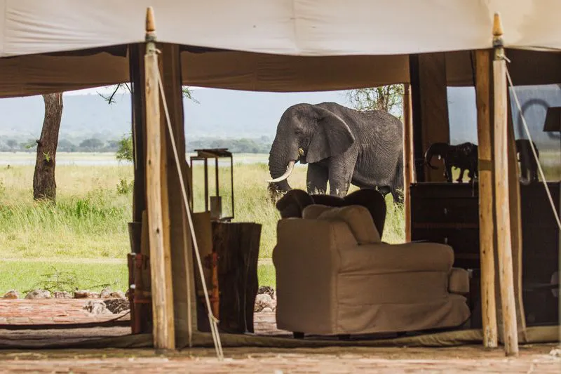 6-Days Tarangire, Serengeti, Lake Manyara and Ngorongoro Crater