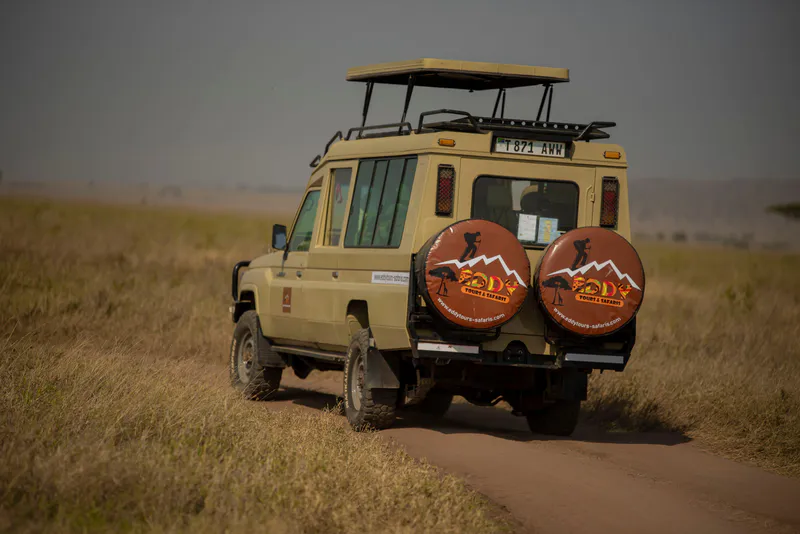7 - Days Serengeti and Ngorongoro Crater Safari