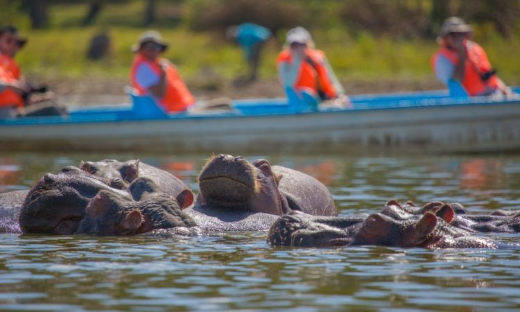 7-Day Group Joining Safari to Masai Mara, Lake Nakuru, Naivasha & Amboseli – Budget Adventure