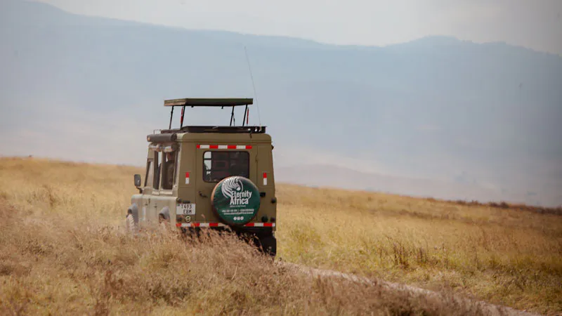 9-Day Mid Range Serengeti Wildebeest Migration