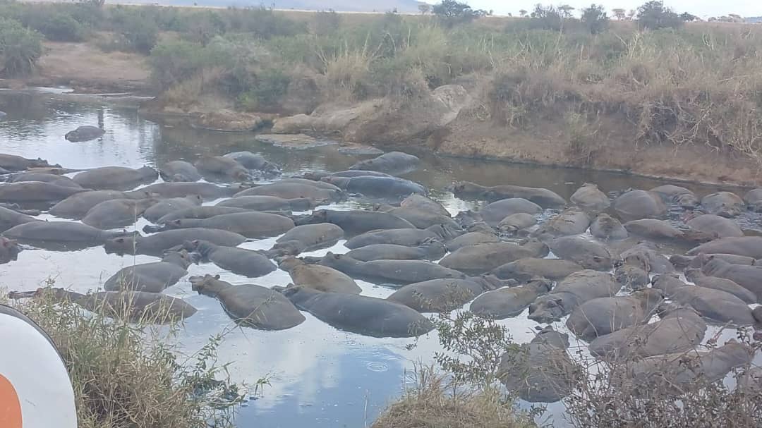 12-Day Tarangire, Ngorongoro Crater, Ndutu, Serengeti and Zanzibar Archipelago