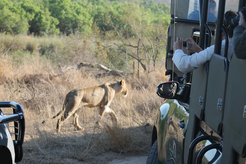 3 Day Kruger and Sabi Sand Luxury Tented Camp Safari