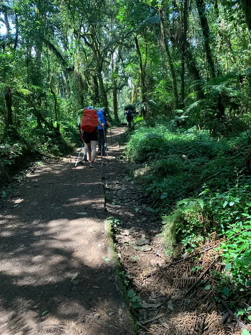 7Days Machame route