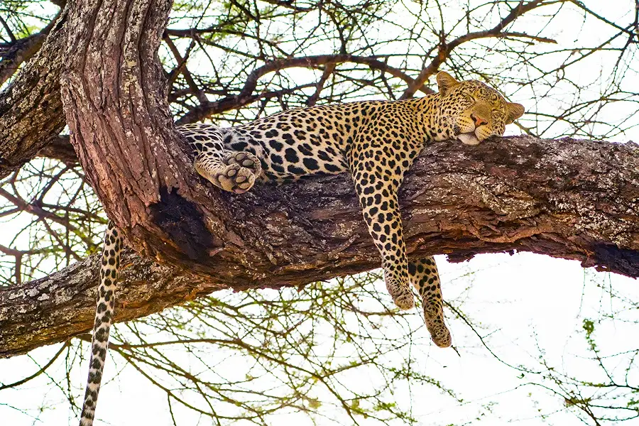 7-Day Beautiful Luxury Adventure - Private