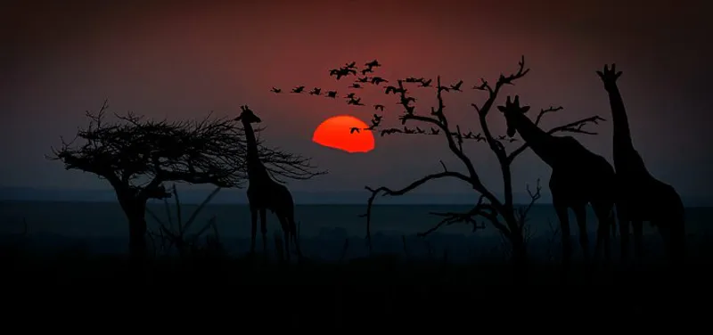 6 nights Maun to Kasane