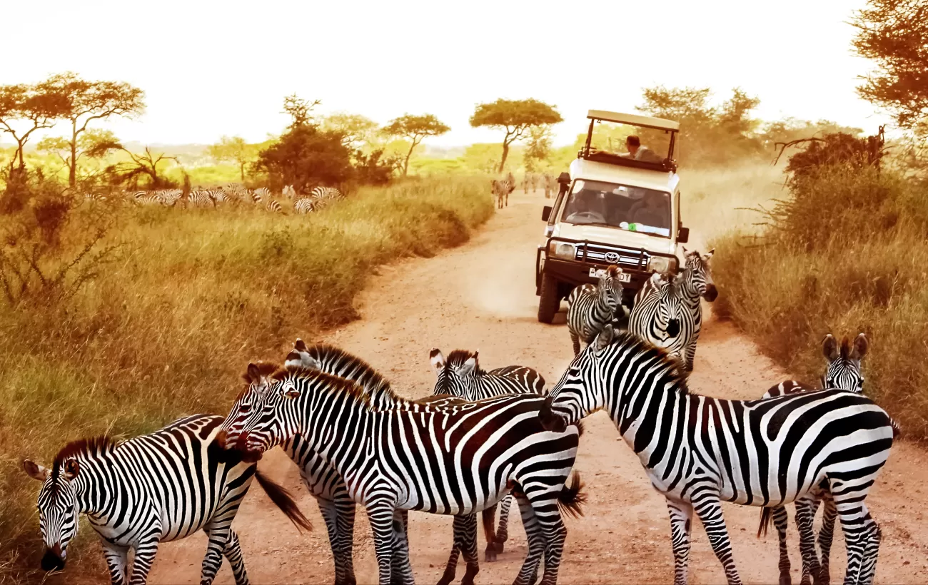 4-Day Mid-Range Safari Tarangire, Serengeti, Ngorongoro