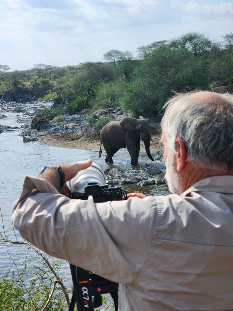 2-Day Safari Zanzibar to Nyerere National Park