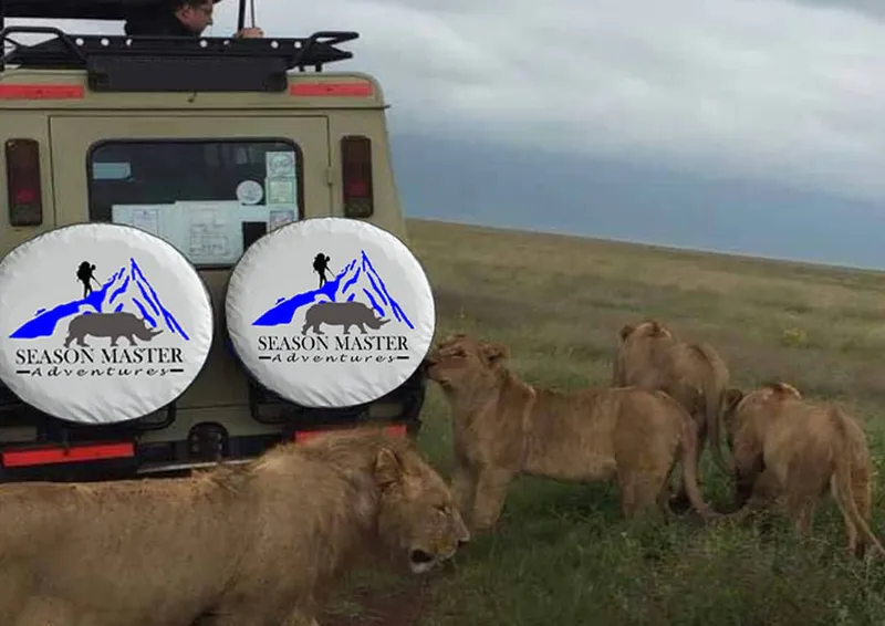 4-Day Safari to Tarangire, Ngorongoro & Serengeti National Park