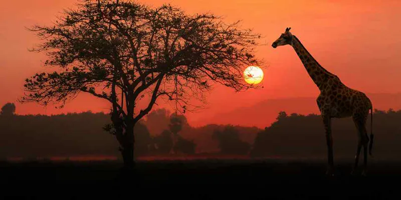 12 Day Spectacular Safari and Hiking Experience