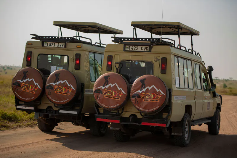 3 Days Private Safari in Tanzania