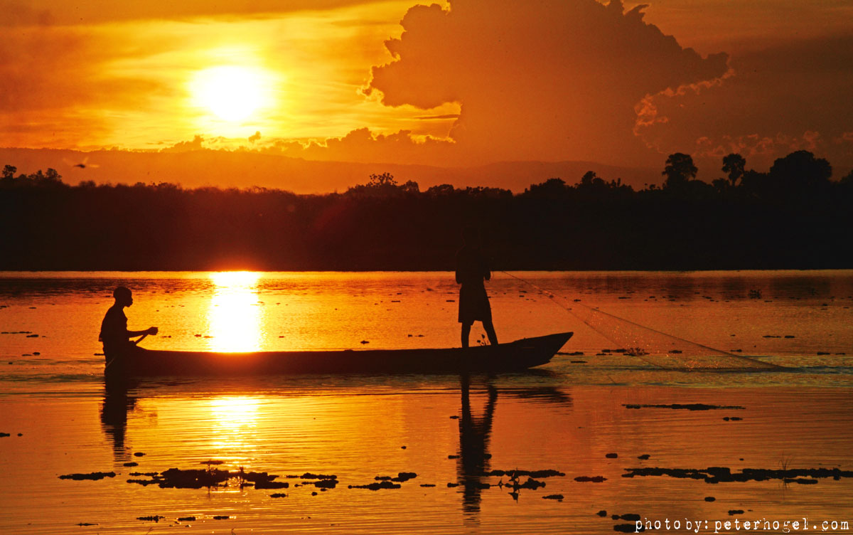 13-Day Uganda Wildlife and Gorilla Trekking Safari