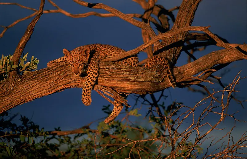 7-Day Sossusvlei, Swakopmund and Etosha National Park (Lodging)