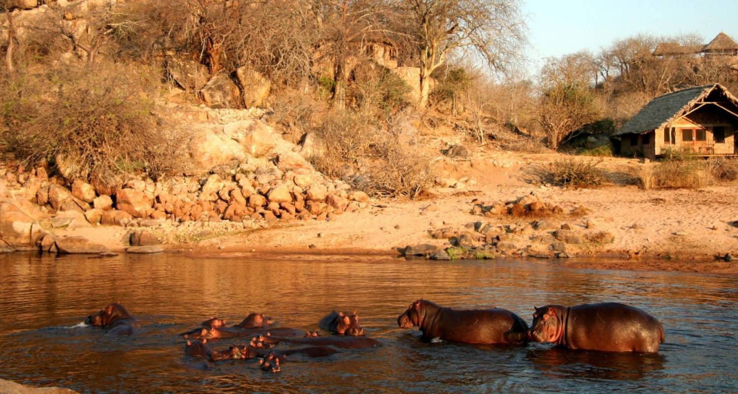 4-Day The best campsite safaris - Kilimanjaro Habitas - Safarigo