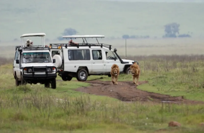 3 Days Wilderness Midrange Safari