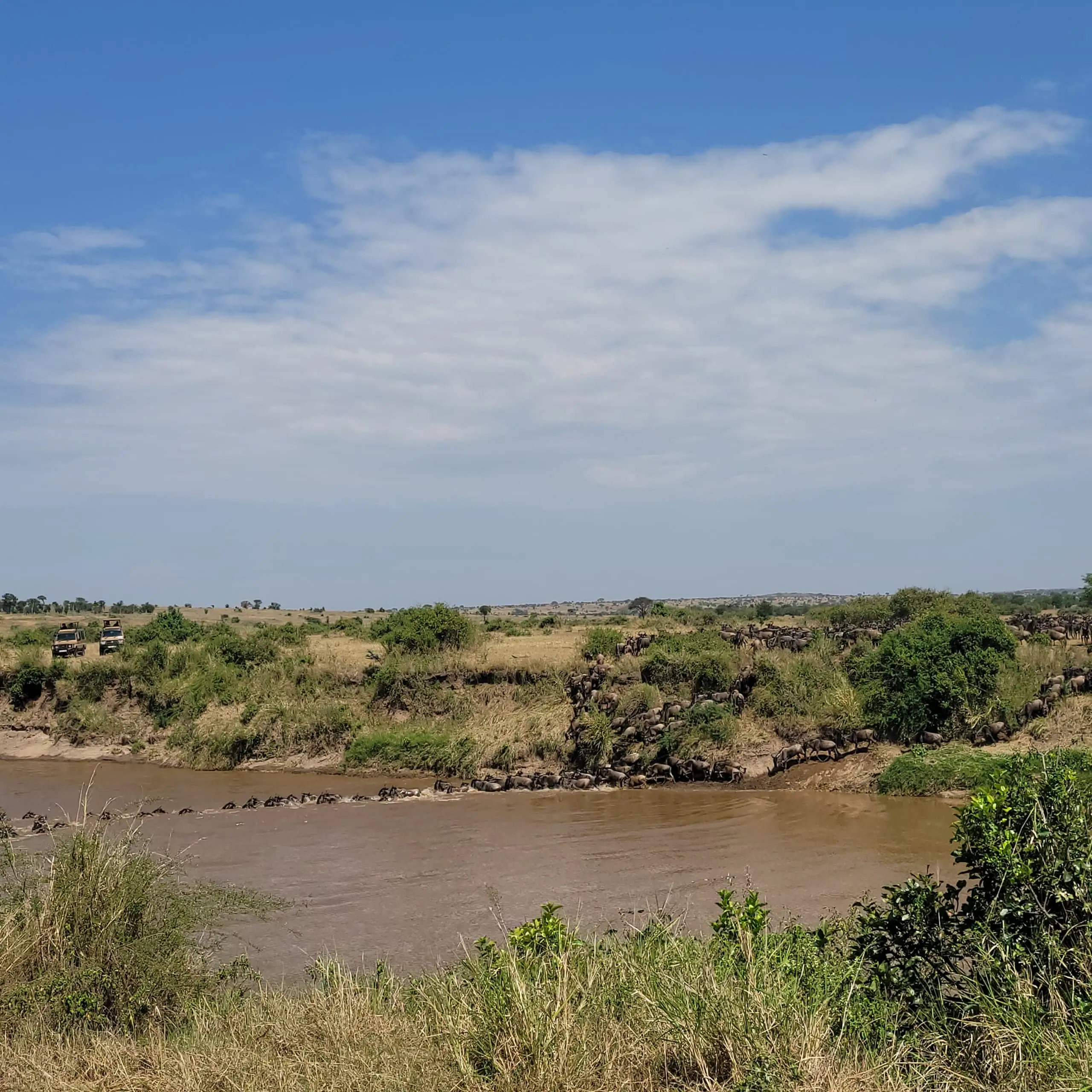 7-Day Luxury Green Season Safari - Where Life Begins