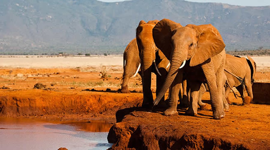 5 Days Safari Adventure (Tsavo East & West)