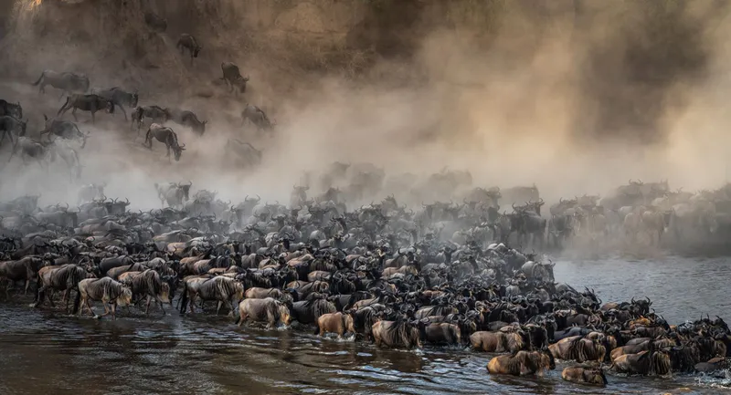 6 Days: Unlimited Adventure Mara River Crossing July - September